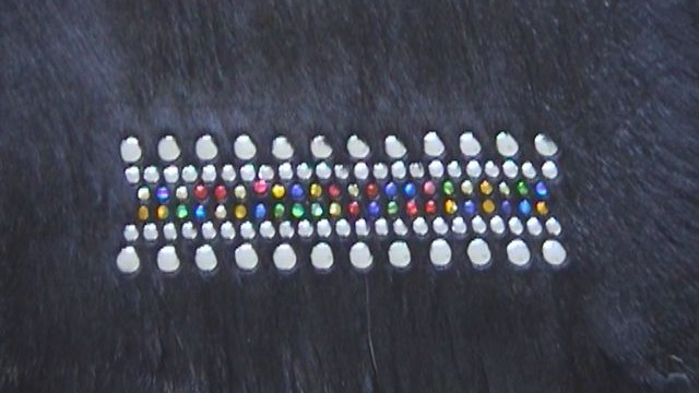 collection 4 strass+stud band on shorn mink